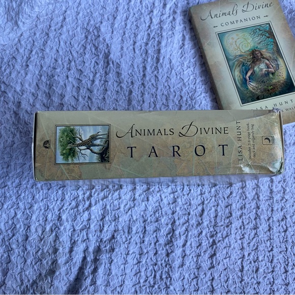 Animals Divine by Lisa Hunt Tarot card box set First Printing / First Edition - Picture 16 of 16